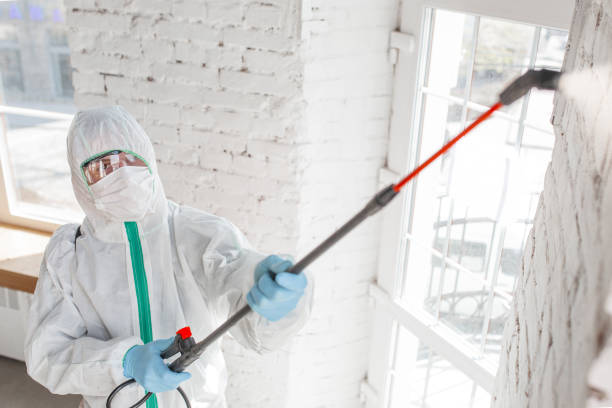 Best Comprehensive Air Testing for Mold Contaminants  in Forsgate, NJ
