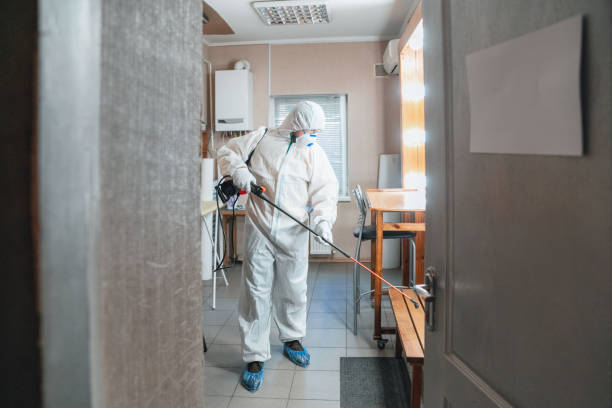 Best Mold Removal for HVAC Installations  in Forsgate, NJ