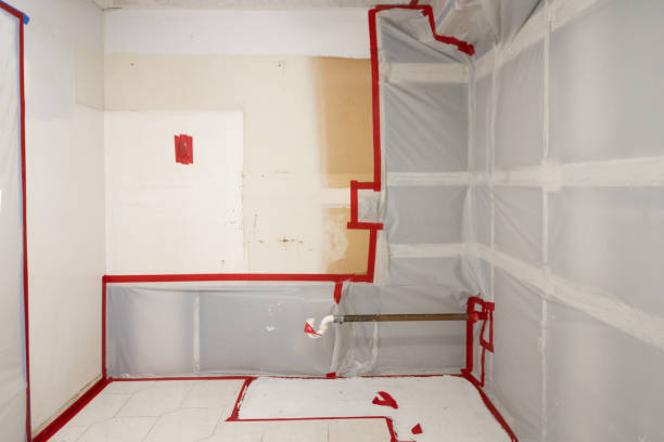 Best Residential Mold Inspection & Testing  in Forsgate, NJ